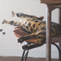 限りある命、何をする？／生きる意味をふと考える人向けのオンライン...