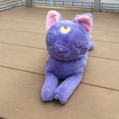 ぬいぐるみ