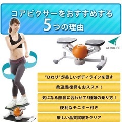 ステッパー　エアロライフ　コアビクサーの画像