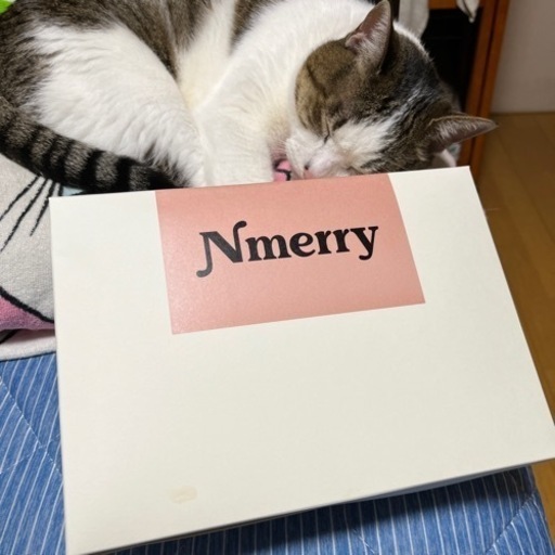 Nmerry エヌメリー 4L ピンク エヌメリーNmerryノンワイヤーブラ ブラック 4Lサイズ｜Yahoo!フリマ 