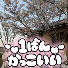 若松区塩屋【空手道場生募集中！】