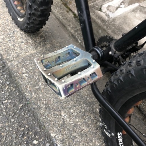 サーリー　パグスレー