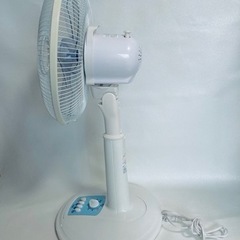 【美品】扇風機✨の画像