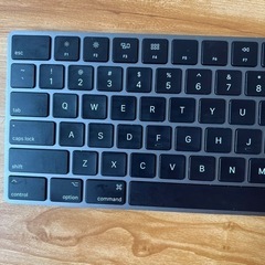 中古 Apple Magic Keyboard US配列 箱なし スペースグレー スペースグレイのMagic Keyboard（US配列）、使用レビュー