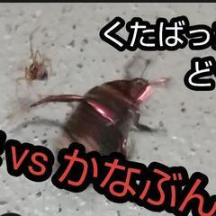 Youtubeみんなでやりたいです - メンバー募集