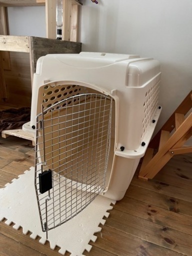 バリケン　大型犬　