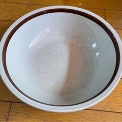 アポロストーンウェア サークルライン　サラダボウル 