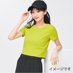 コットンミニTシャツ　半袖　トップス  リブ ベージュ 丈さらに短め44cm  の画像