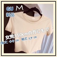 コットンミニTシャツ　半袖　トップス  リブ ベージュ 丈さらに...