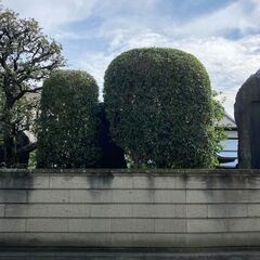 【お庭の手入れ・草刈・空家のお庭管理】など…お庭に関するご相談承ります！ - 横浜市