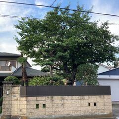 【お庭の手入れ・草刈・空家のお庭管理】など…お庭に関するご相談承ります！ - 剪定/造園
