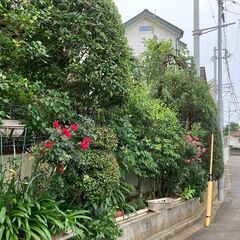 【お庭の手入れ・草刈・空家のお庭管理】など…お庭に関するご相談承ります！ − 神奈川県