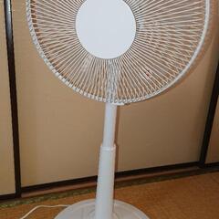 扇風機今年購入品