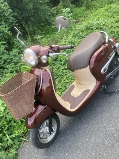 ジョルノ　AF77  現行型　整備済