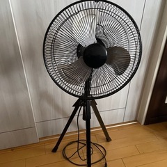 扇風機　スタイリッシュです！！の画像