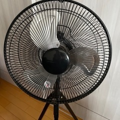 扇風機　スタイリッシュです！！の画像