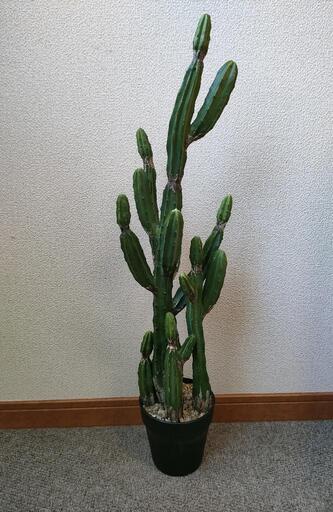 リアルなフェイクサボテン