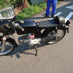 CD50の画像