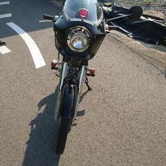 CD50の画像