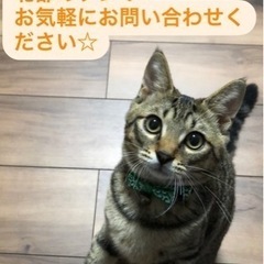 電気工事対応可能！！便利屋