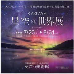 一緒に美術館に行ってくださる方いらっしゃいませんか？