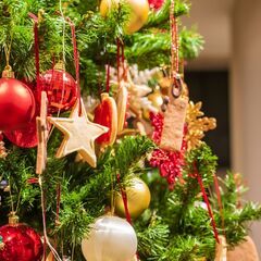 【12月10日㈯予定】クリスマスライトアップ撮影@恵比寿 (Ka...