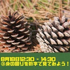 【8/17-19・小中学生】まだ間に合う！夏休み自由研究教室！の画像