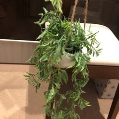 観葉植物(造花) 紐でぶら下げるタイプ