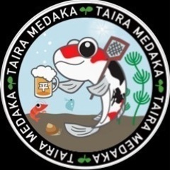 8月8日メダカ販売の画像