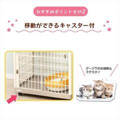アイリス　3段プラゲージ　中古美品の画像