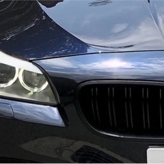 BMW MINI デイライト&TVキャンセラーetcコーディング作業