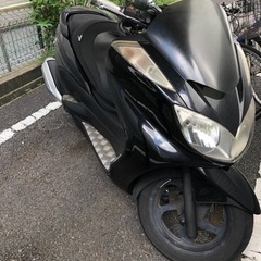 グランドマジェスティSG15