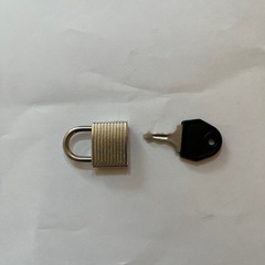 キャリー 2.3泊用(鍵付き)の画像
