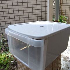 クリアケース押入用。小📥