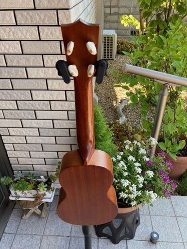 ＦＡＭＯＵＳ　ウクレレ　ＦＳ－６　単板モデル　使用頻度きわめて少なく極上です