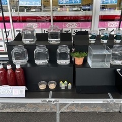 ■メダカ販売、メダカ掬いイベントのご案内■