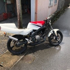 TZR50 バイクの中古が安い！激安で譲ります・無料であげます(7ページ目)｜ジモティー