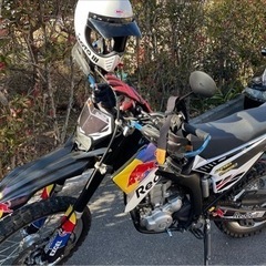 ヤマハ　WR250X モタード　WR250Rの画像