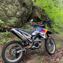 ヤマハ　WR250X モタード　WR250Rの画像