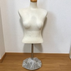 トルソー