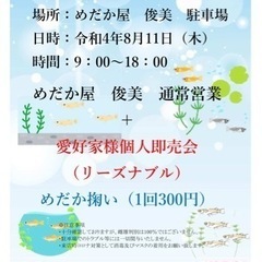 めだか愛好家様個人即売会‼️