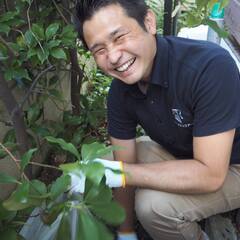 【シニアの暮らしのお手伝い】　コンシエルジュの募集ですの画像