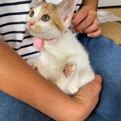 みんなのアイドルみおちゃん　4ヶ月