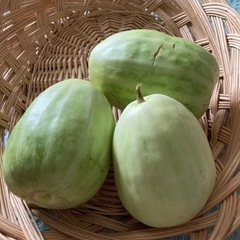 決まりました★美味で簡単★浅漬け用のウリ3個