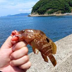 釣り好き男女募集
