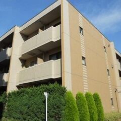 🌞契約金5万円🌸審査通過率90％🌞大岡山駅 歩8分🌸目黒区南🌞