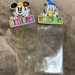 レア　ディズニーランド 入場券入れ チケット入れ　ケース