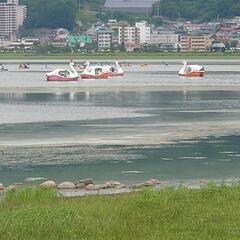 諏訪湖ウォーキング！ - 諏訪市