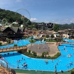 東京サマーランド　8/17(水)来園日指定チケット（大人2枚、幼児1枚）