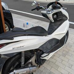 【決まりましたm(_ _)m】PCX　乗って帰れますの画像